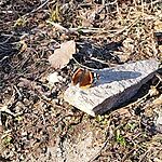 IMG_20250308_153936