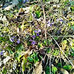 IMG_20250308_153230