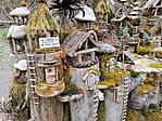 IMG_20250322_152741