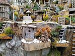 IMG_20250322_152659