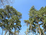 IMG_5753