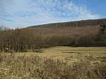 IMG_5808