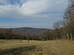 IMG_5811