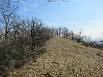 IMG_5819
