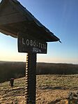 IMG_0045