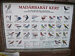 Madárbarát kert