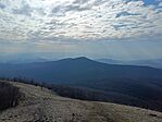 IMG_20250208_121231