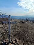 IMG_20250208_121719
