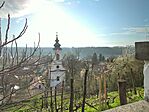 IMG_20250330_080444_164.jpg_compressed