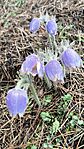 IMG_20250324_113834
