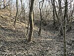 IMG_20250308_155121