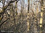 IMG_20250308_155118