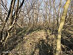 IMG_20250308_155045