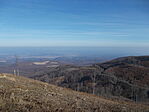 Panoráma az erdő szélétől