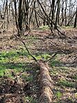 IMG_20250302_141538