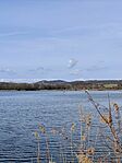 IMG_20250302_102827