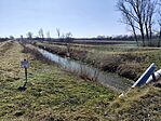 IMG_20250305_112444