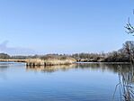 IMG_20250305_113740