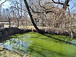 IMG_20250305_114203_1
