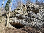 IMG_20250307_114143