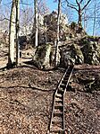 IMG_20250307_115125