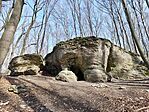 IMG_20250308_120454