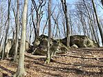 IMG_20250308_120427