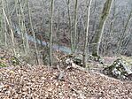 IMG_20250309_071932