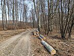 IMG_20250309_084524