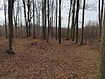 IMG_20250309_092224