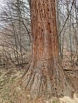 IMG_20250309_112907