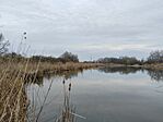 IMG_20250322_133835