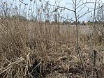 IMG_20250322_141929