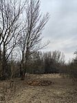 IMG_20250322_143521