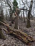 IMG_20250322_143152
