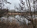 IMG_20250322_144348