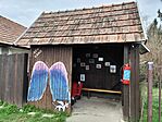 IMG_20250322_103510