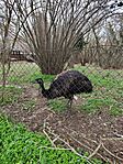 IMG_20250322_103756