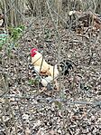 IMG_20250322_111811