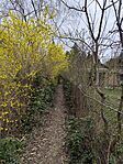 IMG_20250322_112433
