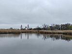 IMG_20250325_105943