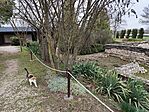 IMG_20250327_145731