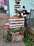 IMG_20250328_170704