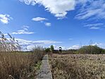 IMG_20250331_144515