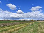 IMG_20250331_151856