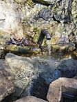 20250306_105126[1]