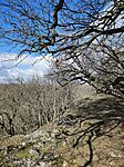 IMG_20250302_102205
