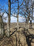 IMG_20250302_102421