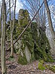 IMG_20250302_110324