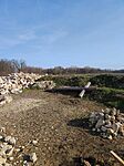IMG_20250308_152521